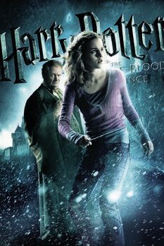 Obraz na plátně Harry Potter and The Half-Blood Prince - Hermione