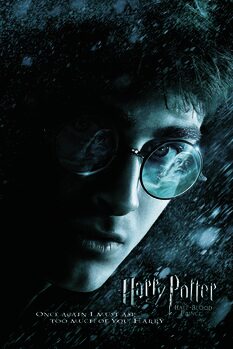 Obraz na plátně Harry Potter and The Half-Blood Prince