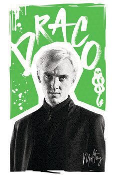 Obraz na plátně Harry Potter - Draco Malfoy