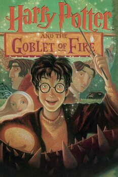 Obraz na plátně Harry Potter - Goblet of Fire book cover