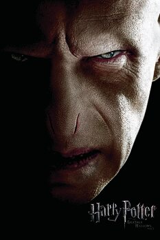 Obraz na plátně Harry Potter - Voldemort