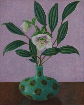 Obraz na plátně Hellebores with Viburnum Leaves, 2015