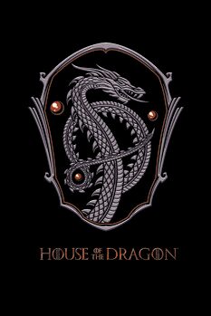 Obraz na plátně House of Dragon - Dragon Shield