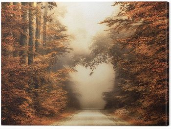 Obraz na plátně Lars Van De Goor - Fall In Love