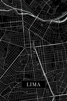 Obraz na plátně Lima black