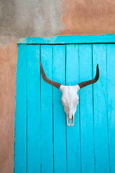 Obraz na plátně Long horn cow skull on wall.
