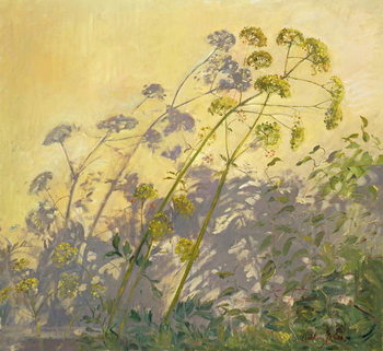 Obraz na plátně Lovage, Clematis and Shadows, 1999