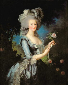 Obraz na plátně Marie Antoinette with a Rose, 1783