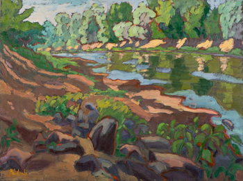 Obraz na plátně On the Shady Side of River Koros  oil on board