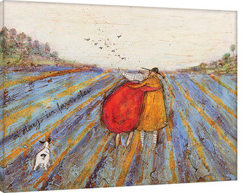 Obraz na plátně Sam Toft - A Day in Lavender