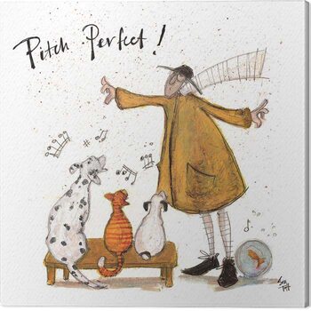 Obraz na plátně Sam Toft - Pitch Perfect