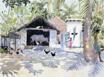 Obraz na plátně The Backwaters, Kerala, India, 1991