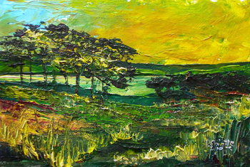 Obraz na plátně Vers L'Etang de Miragoane, 2010