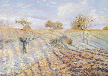 Obraz na plátně White Frost, 1873