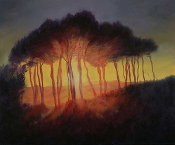 Obraz na plátně Wild Trees at Sunset, 2002