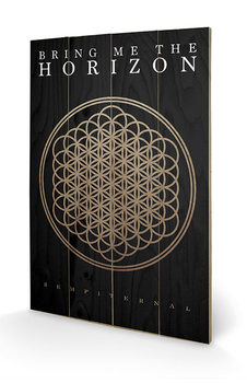 Obraz na drewnie  Bring Me The Horizon - Sempiternal
