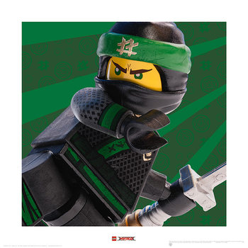 Obrazová reprodukce Lego Ninjago Movie - Lloyd Crop