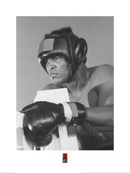 Umelecká tlač Muhammad Ali - Training