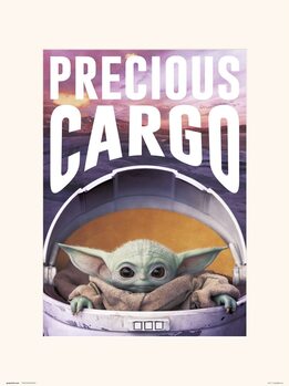Obrazová reprodukce Star Wars: The Mandalorian - Precious Cargo