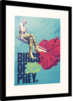 Oprawiony plakat Birds of Prey - Broken