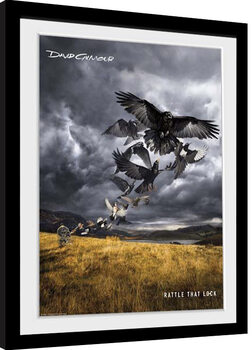 Oprawiony plakat David Gilmour - LP Cover