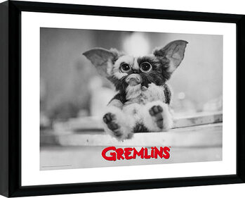 Oprawiony plakat Gremlins - Gizmo