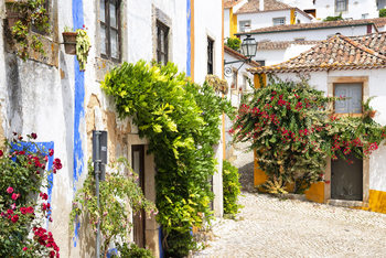 Εκτύπωση τέχνης κατόπιν ζήτησης  Old Town of Obidos