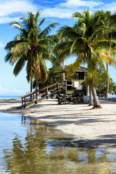 Εκτύπωση τέχνης κατόπιν ζήτησης  Paradisiacal Beach - Miami
