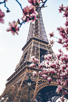 Poster encadré Paris - Eiffel Tower