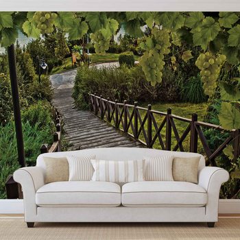 Ταπετσαρία τοιχογραφία  Path Grapes Nature