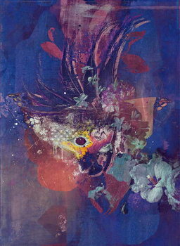 Obraz na plátně Peacock, 2016