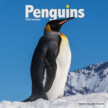 Ημερολόγιο 2020  Penguins