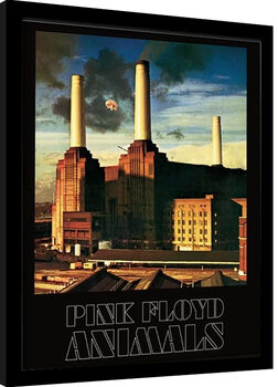 Αφίσα σε κορνίζα Pink Floyd - Animals