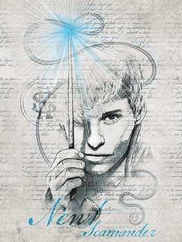 Cuadros en Lienzo Animales fantásticos: Los crímenes de Grindelwald - Newt Scamander
