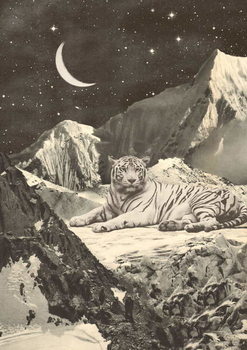 Cuadros en Lienzo Giant White Tiger in Mountains