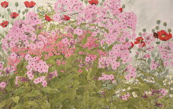 Cuadros en Lienzo Pink Phlox and Poppies with a Butterfly