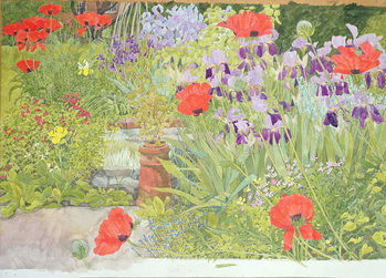 Cuadros en Lienzo Poppies and Irises near the Pond