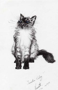 Cuadros en Lienzo sweetie baby, 2015,