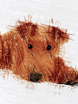 Cuadros en Lienzo The Clever Dog Collection, 2019,