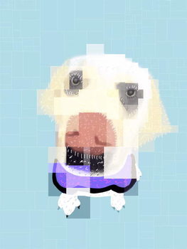 Cuadros en Lienzo The Clever Dog Collection, 2019,