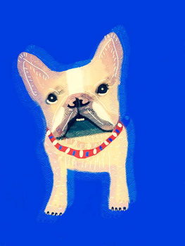 Cuadros en Lienzo The Clever Dog Collection, 2019,