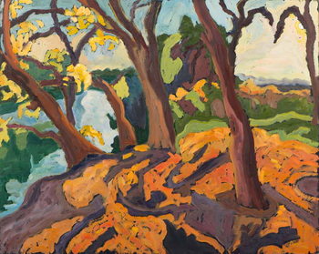 Cuadro en lienzo Ageing trees, 2009