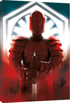 Cuadros en Lienzo Star Wars: Episodio VIII - Los últimos Jedi - Elite Guard Defend