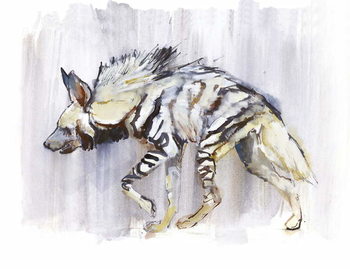 Cuadro en lienzo Striped Hyaena, 2010,