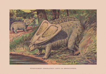 Cuadro en lienzo Torosaurus and Monoclonius, Cretaceous period, chromolithograph,