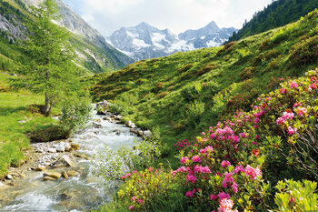 XXL Plagát Alps - Nature and Mountains