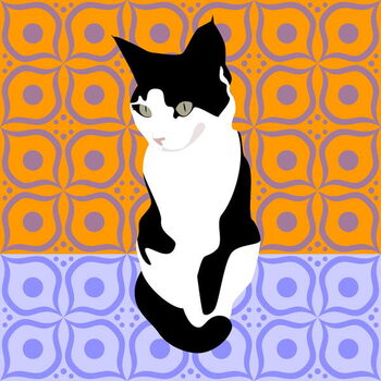 Plagát Cat on Morrocan Tiles