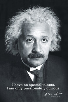 Plagát Einstein Curiosity