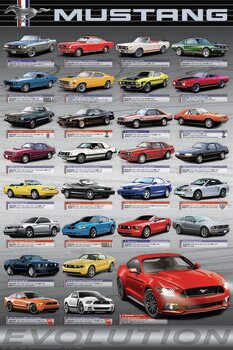Plagát Ford Mustang Evolution