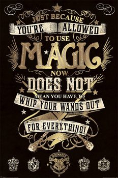 Plagát Harry Potter - Magic